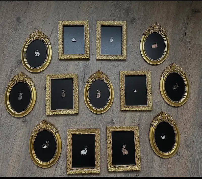 Assortment of oval and rectangle gold frames of small bunnies with black backgrounds